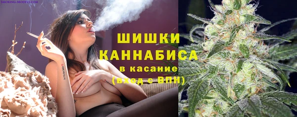 трава Абаза