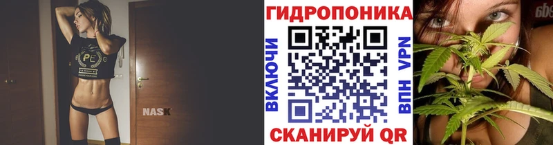 Каннабис ГИДРОПОН  где можно купить наркотик  Кораблино 